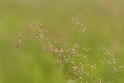 BUITEN BEELD Foto: 239595