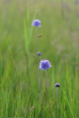 BUITEN BEELD Foto: 239597