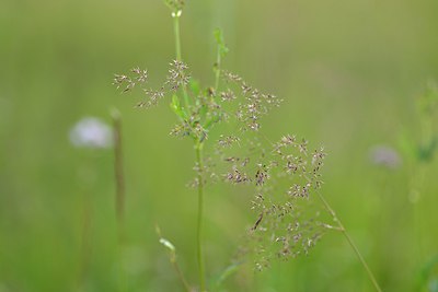 BUITEN BEELD Foto: 239598