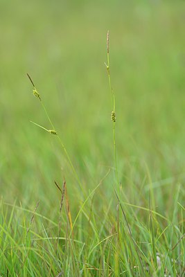 BUITEN BEELD Foto: 239620
