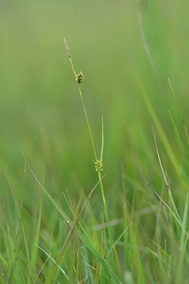 BUITEN BEELD Foto: 239623