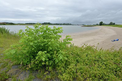 BUITEN BEELD Foto: 239637