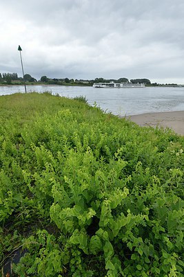 BUITEN BEELD Foto: 239639