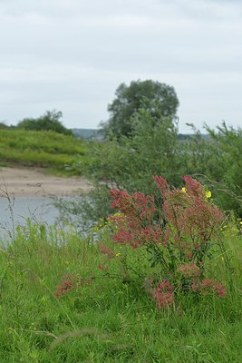 BUITEN BEELD Foto: 239657