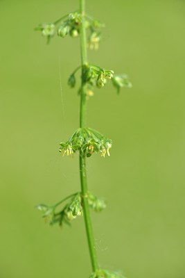 BUITEN BEELD Foto: 239715