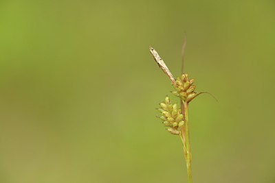 BUITEN BEELD Foto: 239798