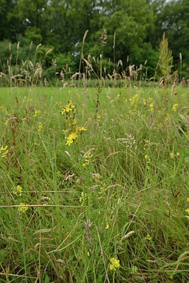 BUITEN BEELD Foto: 239803