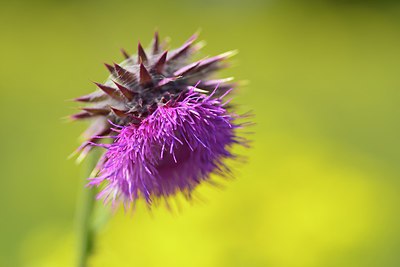 BUITEN BEELD Foto: 239813
