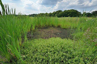 BUITEN BEELD Foto: 239863