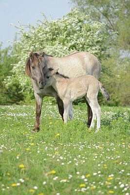 BUITEN BEELD Foto: 239887