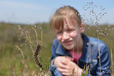 BUITEN BEELD Foto: 239917