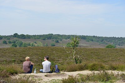 BUITEN BEELD Foto: 239919