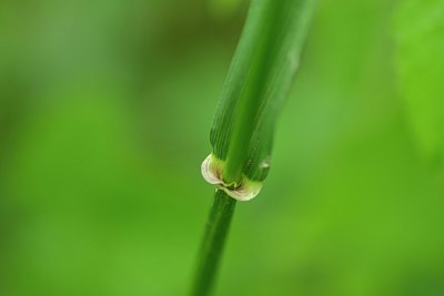 BUITEN BEELD Foto: 239940