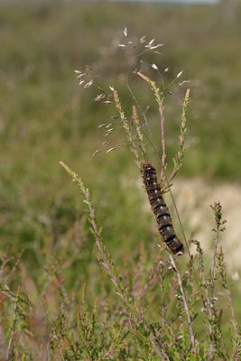 BUITEN BEELD Foto: 239949