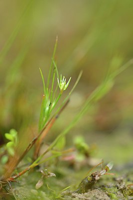 BUITEN BEELD Foto: 239957