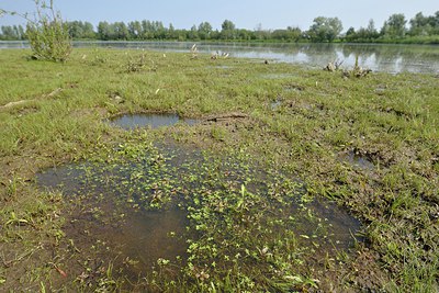 BUITEN BEELD Foto: 240015