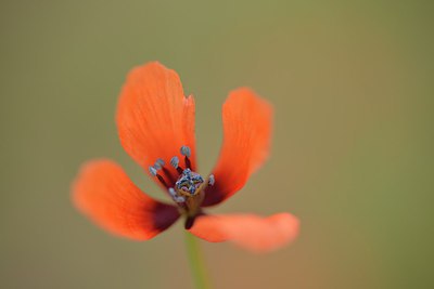 BUITEN BEELD Foto: 240030