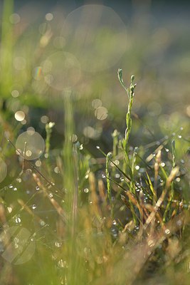 BUITEN BEELD Foto: 240047