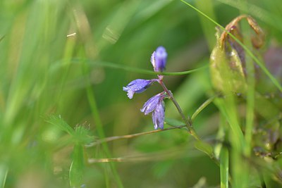BUITEN BEELD Foto: 240065