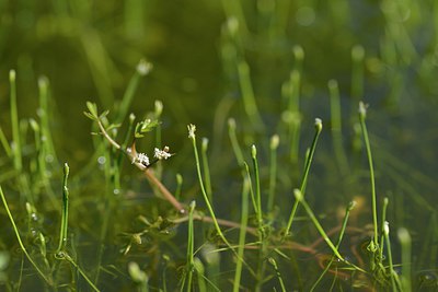 BUITEN BEELD Foto: 240111