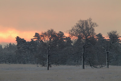 BUITEN BEELD Foto: 240137