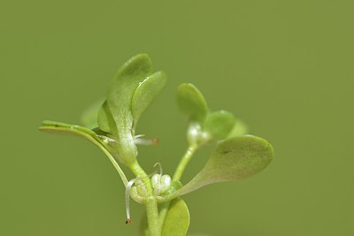 BUITEN BEELD Foto: 240154
