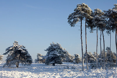 BUITEN BEELD Foto: 240164