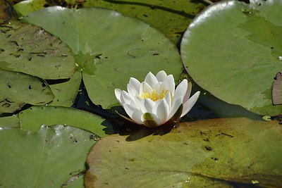 BUITEN BEELD Foto: 240174