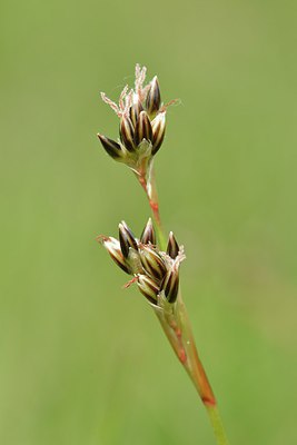 BUITEN BEELD Foto: 240188