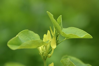 BUITEN BEELD Foto: 240195