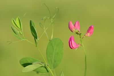 BUITEN BEELD Foto: 240224