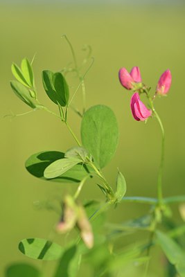 BUITEN BEELD Foto: 240225