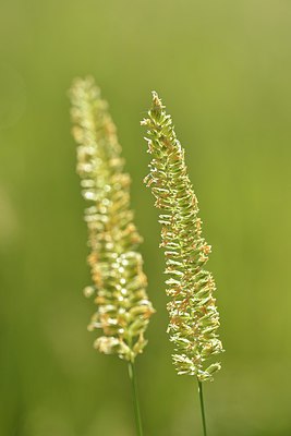 BUITEN BEELD Foto: 240230