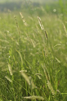 BUITEN BEELD Foto: 240231