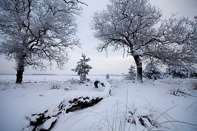 BUITEN BEELD Foto: 240236