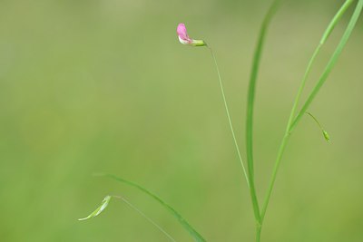 BUITEN BEELD Foto: 240266
