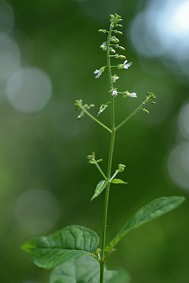 BUITEN BEELD Foto: 240276