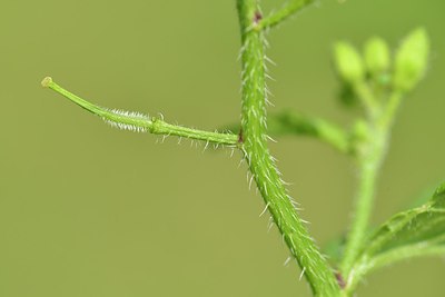 BUITEN BEELD Foto: 240278