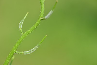 BUITEN BEELD Foto: 240279