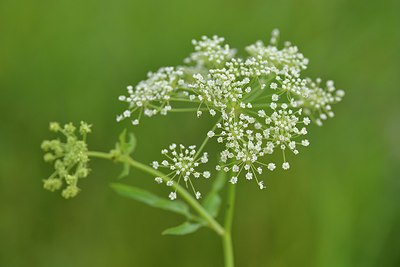 BUITEN BEELD Foto: 240329