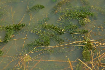 BUITEN BEELD Foto: 240353