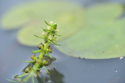 BUITEN BEELD Foto: 240366