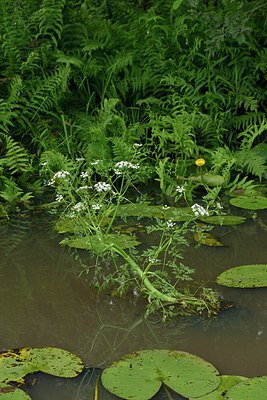 BUITEN BEELD Foto: 240391