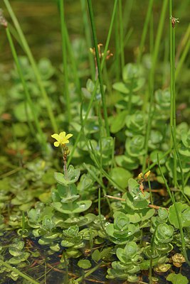 BUITEN BEELD Foto: 240400