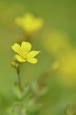 BUITEN BEELD Foto: 240403