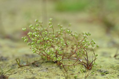 BUITEN BEELD Foto: 240419