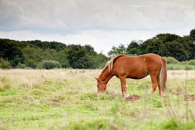 BUITEN BEELD Foto: 240423