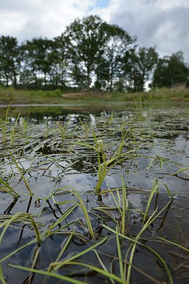 BUITEN BEELD Foto: 240430