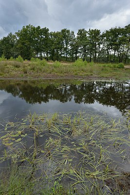 BUITEN BEELD Foto: 240431