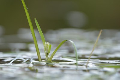 BUITEN BEELD Foto: 240438